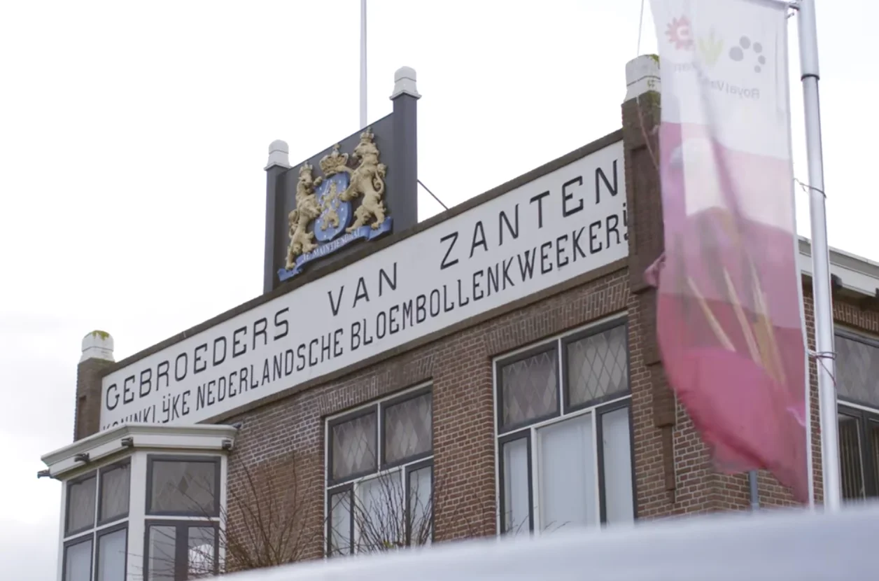 Customer testimonial photo